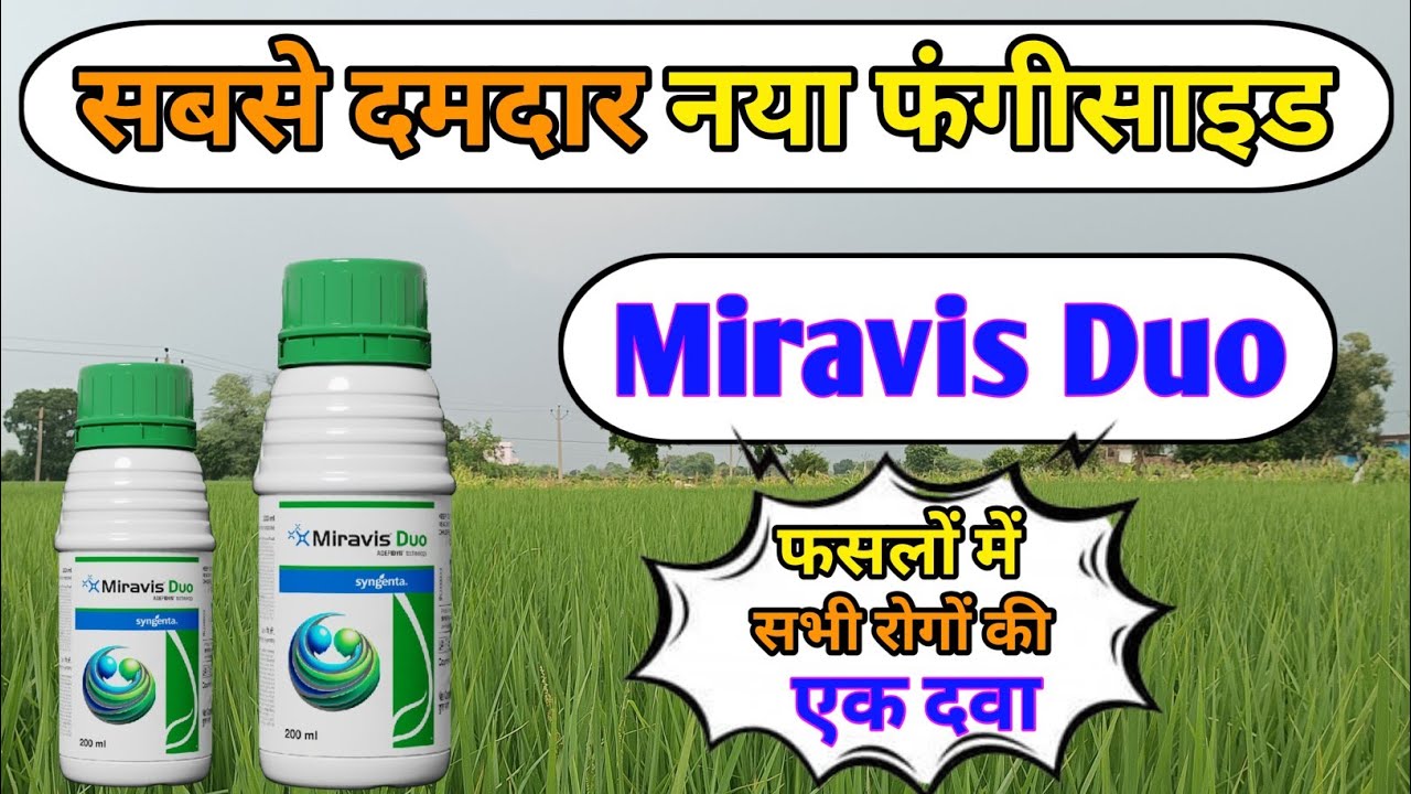 Syngenta Miravis Duo | New Miravis Duo | Miravis Duo | Miravis Duo Fungicide |  Syngenta New Miravis