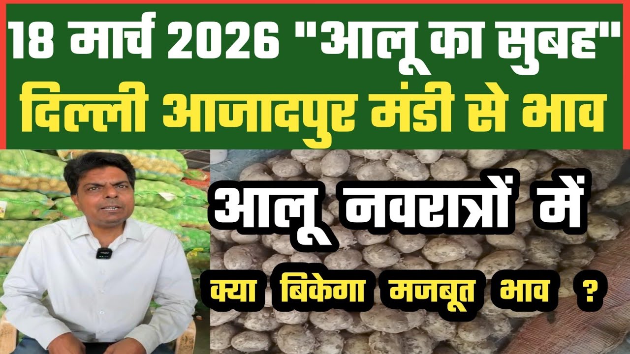 आलू बाजारों में अच्छा क्या दिख रहा ? Azadpur Delhi Mandi Today में 18-03-2026 के Potato Price DMT TV