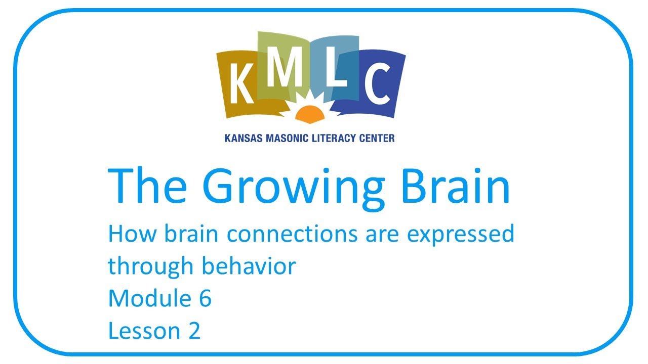 Module 6 Lesson 2 - Key Factors that Influence Behavior