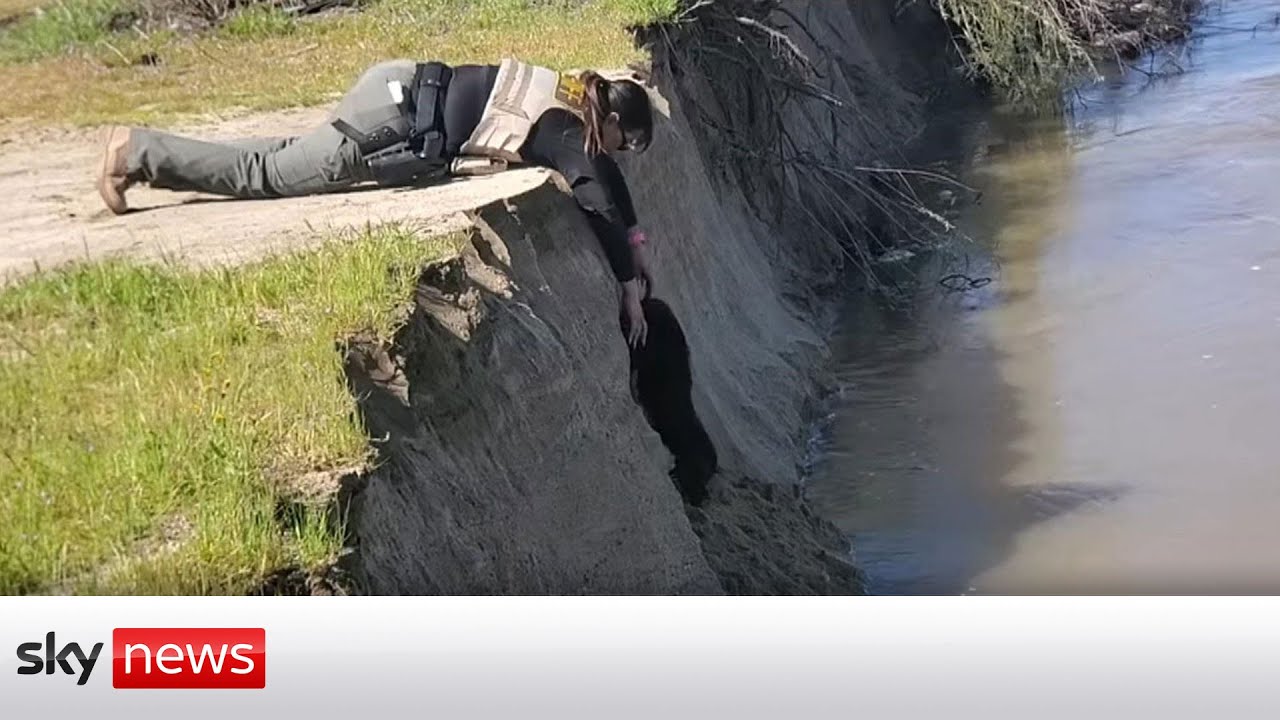 California: Police rescue dog from river
