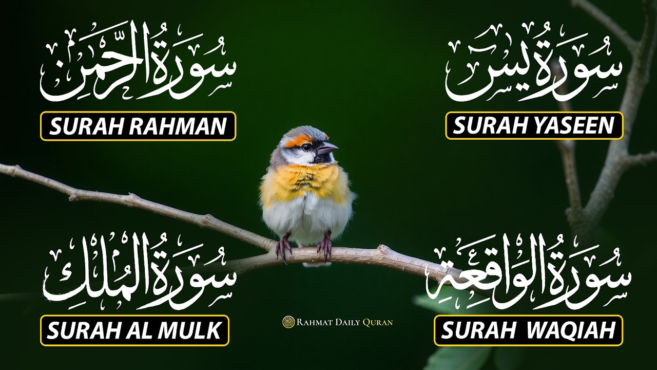 Beautiful Surah Yaseen (Yasin) | Surah Rahman | Surah Waqiah | Surah Mulk |