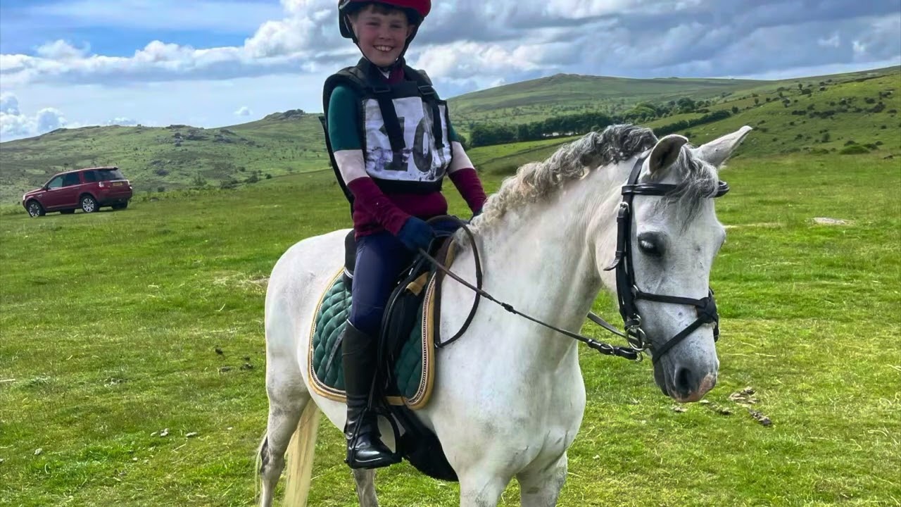 Daisy. 12.2 Welsh Section B Mare