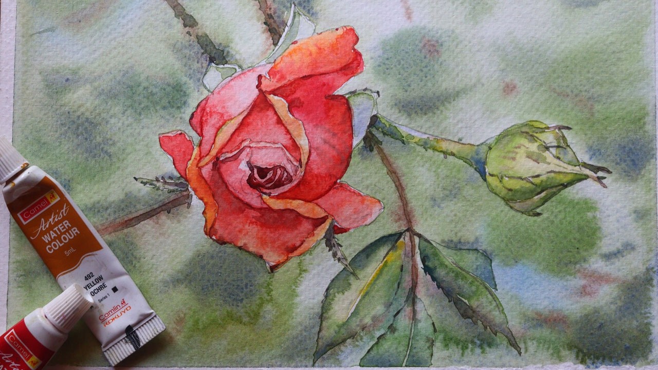 Painting a Red rose with Watercolour