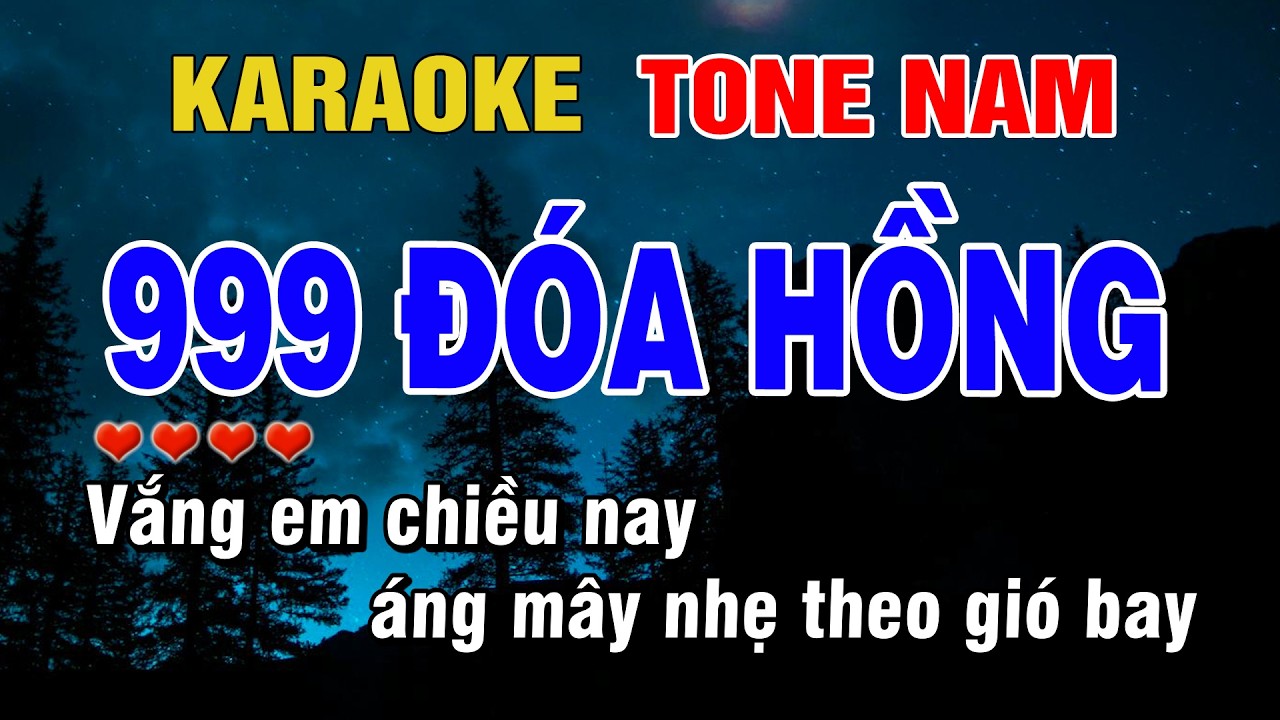 999 Đóa Hồng Karaoke Tone Nam Beat Hay | Karaoke Chill