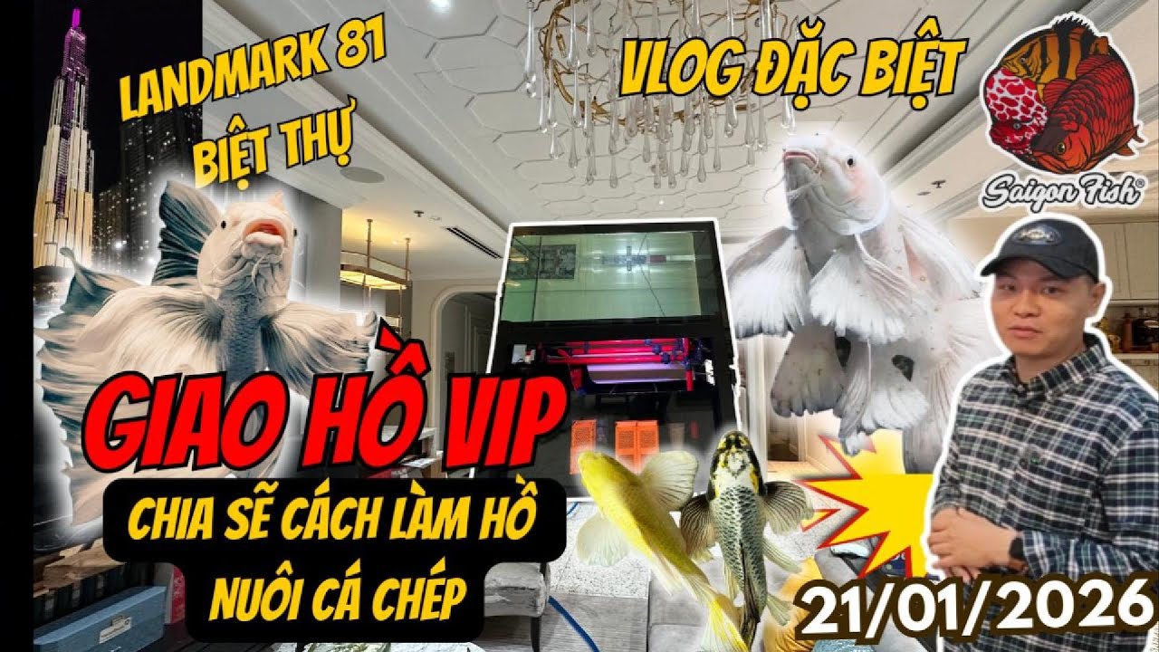 Bàn Giao Hồ Cá Cao Cấp Nhiều Công Năng Tại Biệt Thự Landmark 81 | Chia Sẻ Kiến Thức Thực Tế