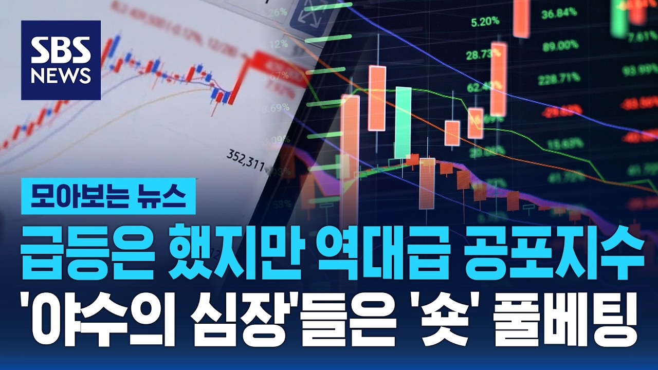 급등은 했지만 역대급 공포지수..'야수의 심장'들은 '숏' 풀베팅 / SBS / 모아보는 뉴스