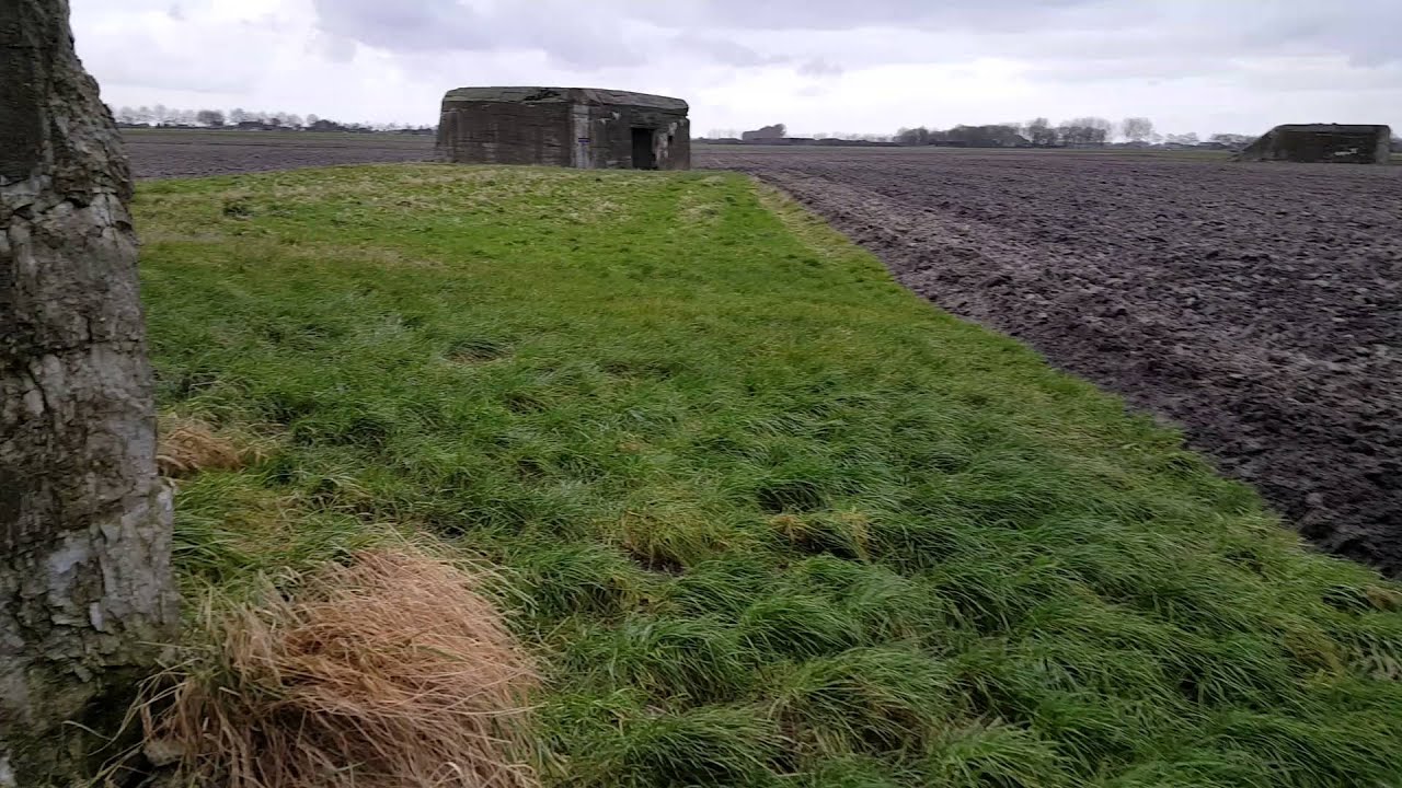 Nederlandse bunkers vlak bij Steenbergen