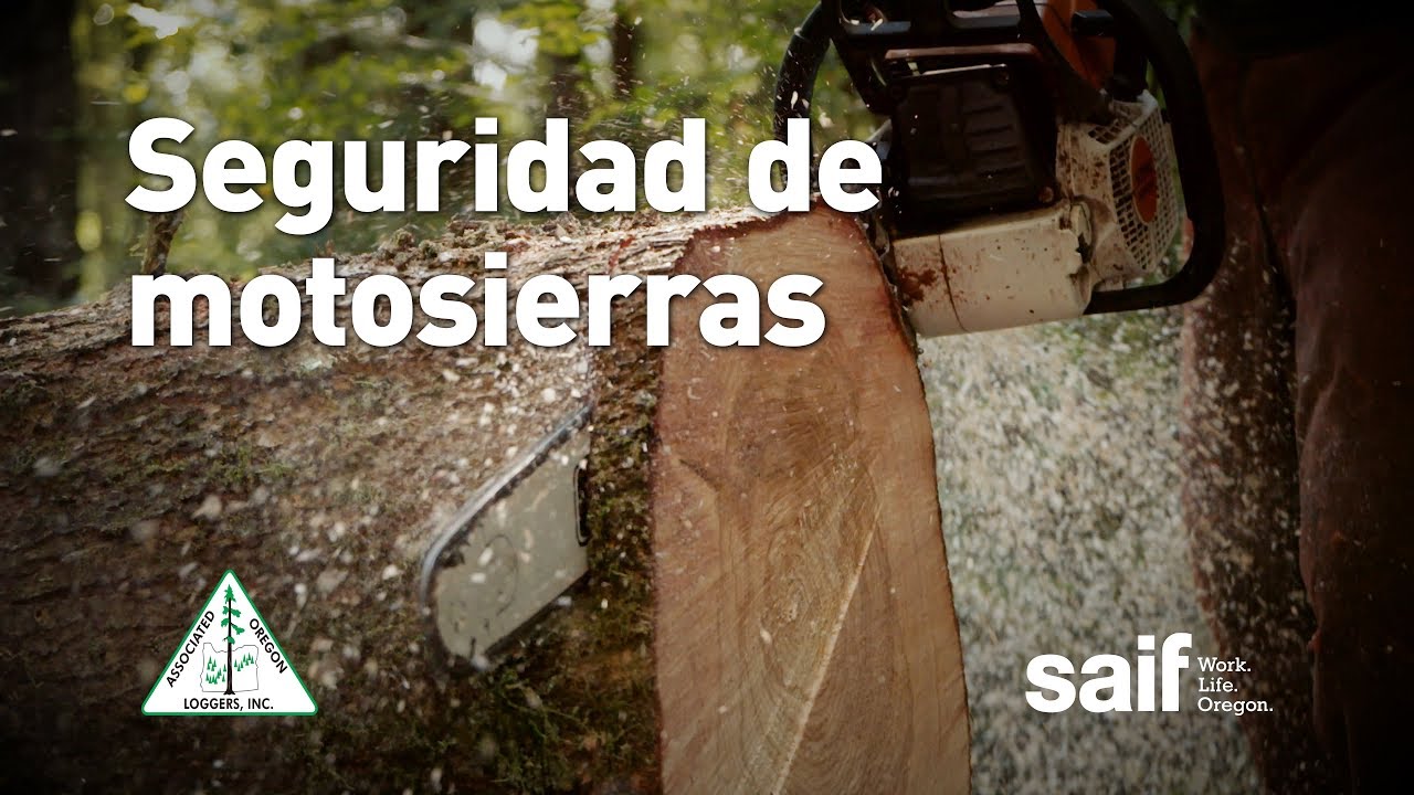 Seguridad de motosierras