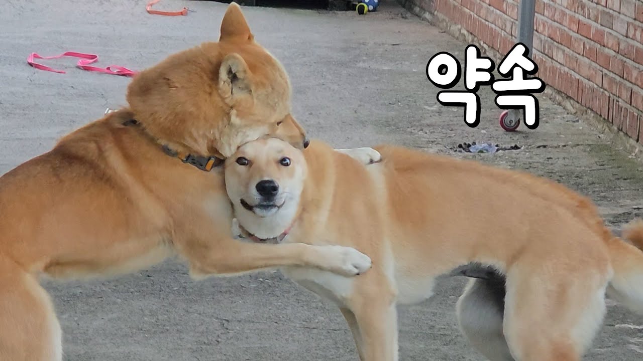 잊어버리지 않았습니다