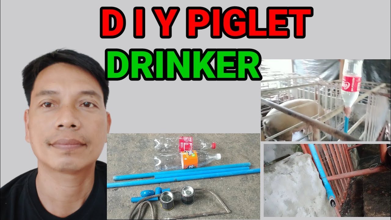 DIY Piglet Drinker
