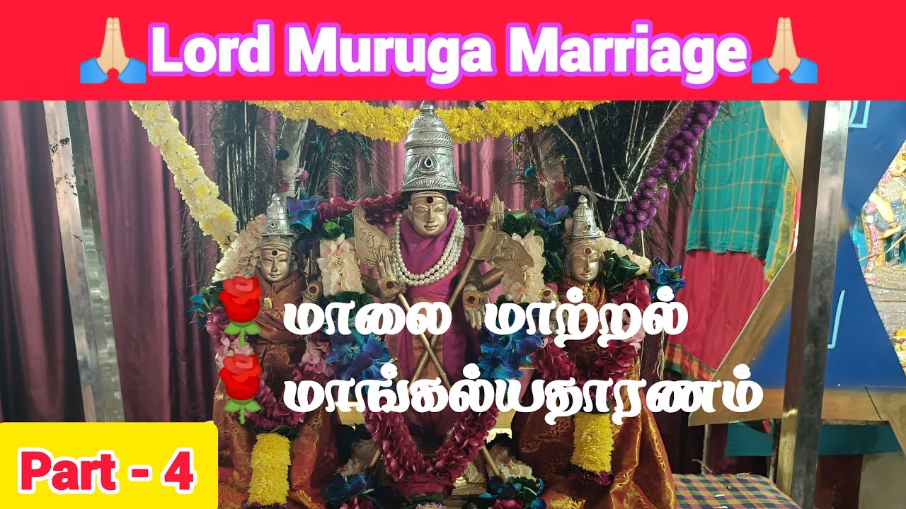 Murugan’s Divine Wedding l Garland Exchange & Mangalsutra Ceremony l முருகன் திருக்கல்யாணம் #video
