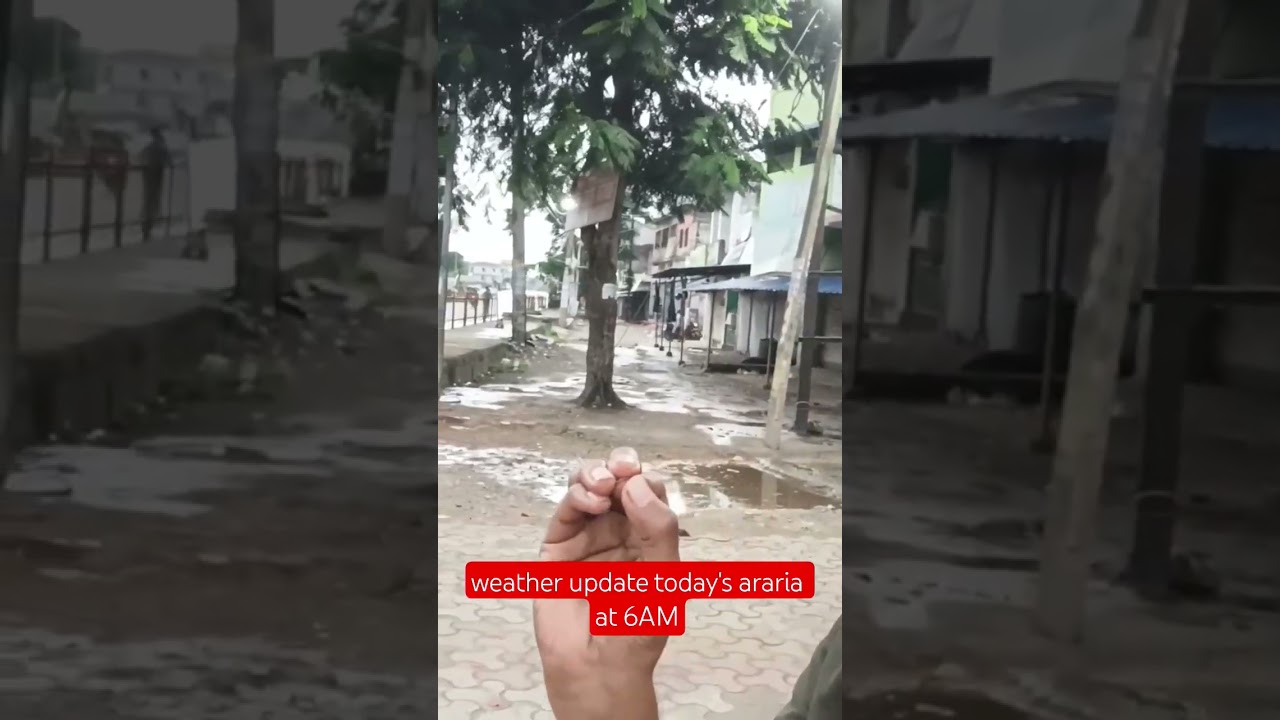 today's weather update form #araria at 6 AM #vlog #araria #viralvlog #4.2vlog