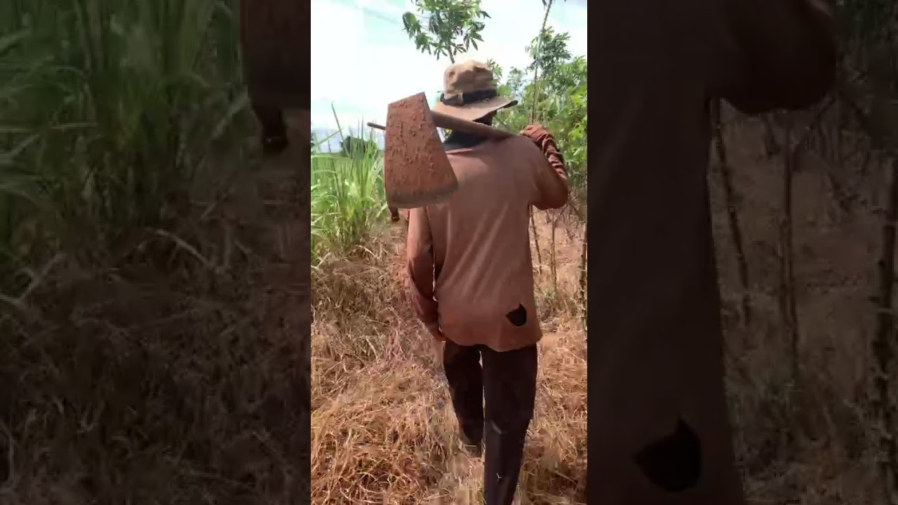 Farm life beginnings 🌾☀️