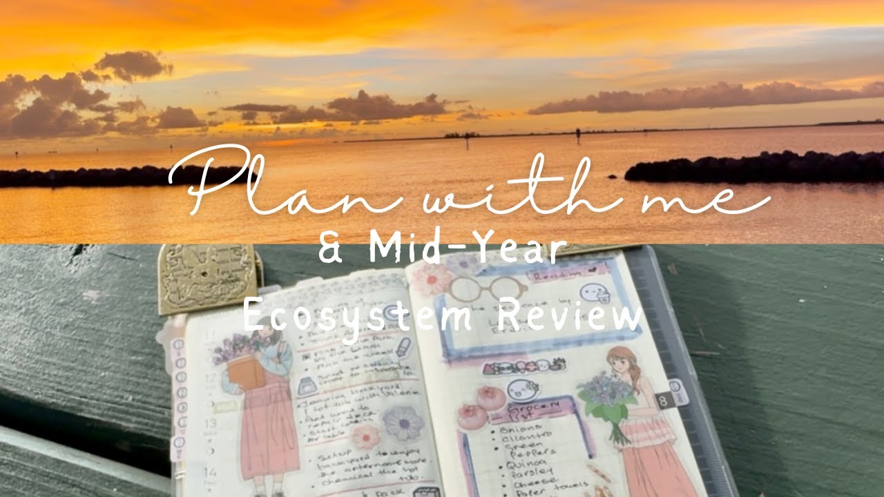 Plan with me/Mid-Year Review #hobonichicousin #hobonichiweeks #journaling #planning #cutestationery