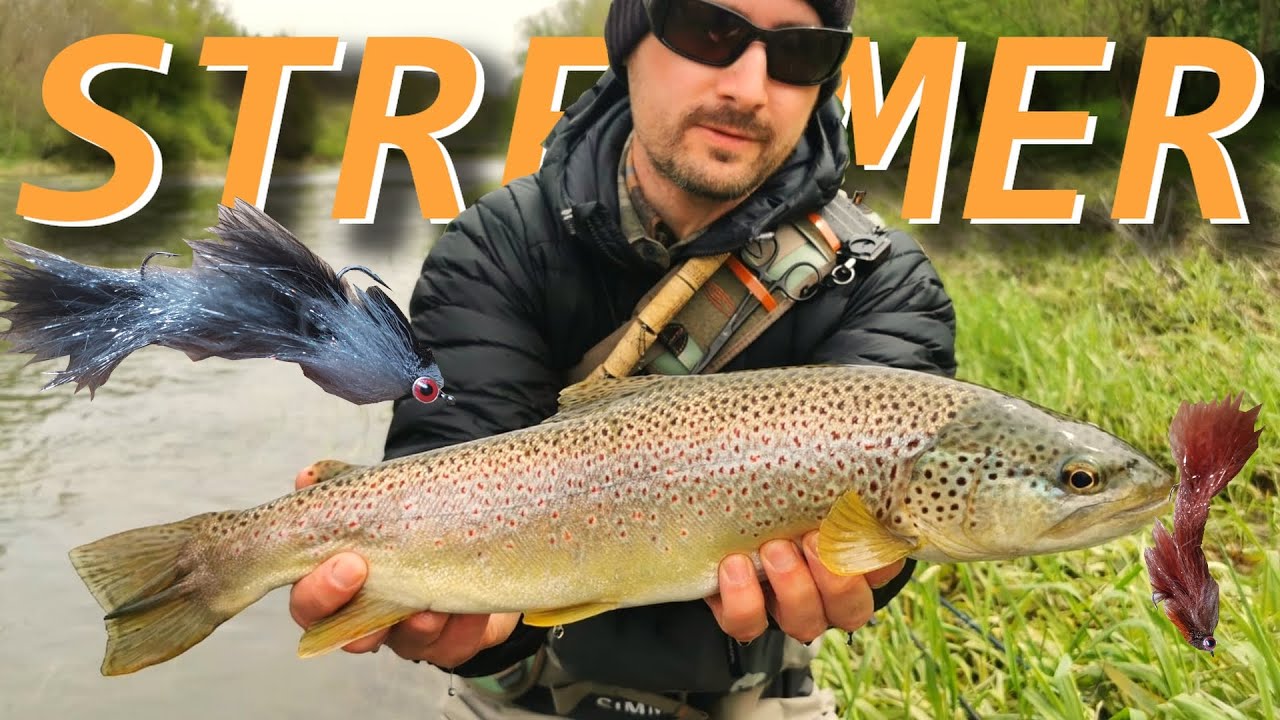 Fliegenfischen auf Forellen mit Streamer
