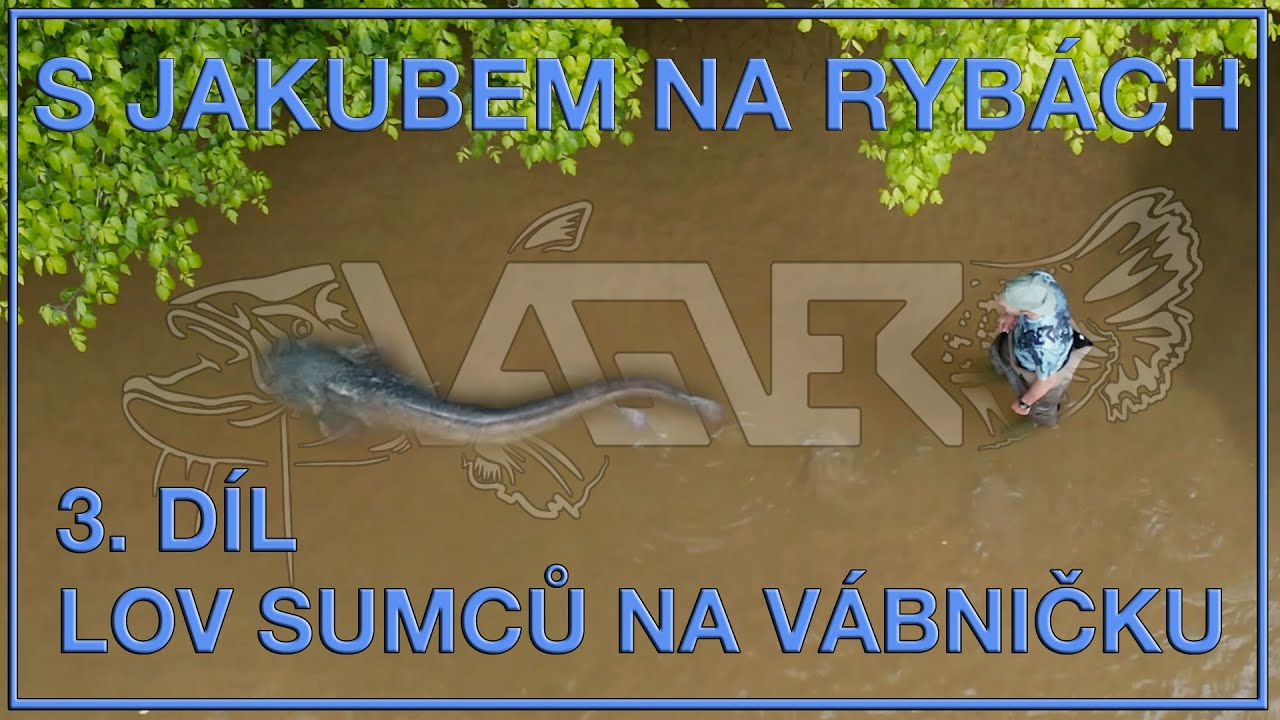 S Jakubem na rybách - Lov sumců na vábničku - 3. díl