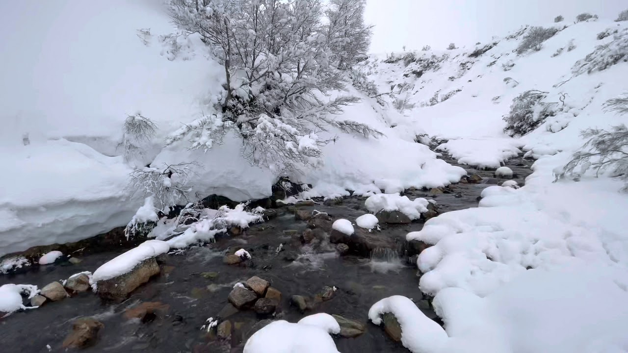 7/2/2021 powderhunters