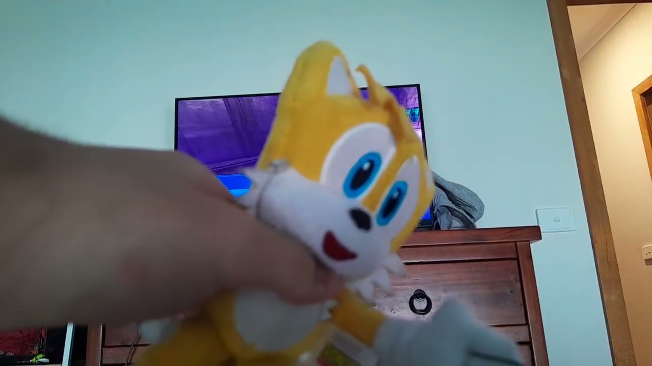 [plush]  sonic and tails sonic all stars racing transformed