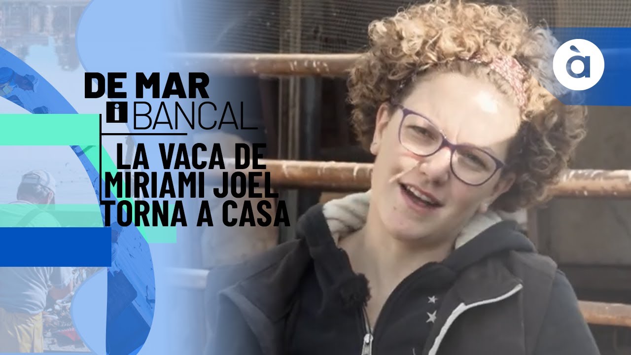 La vaca de Miriam i Joel torna a casa, a Morella - De mar i bancal