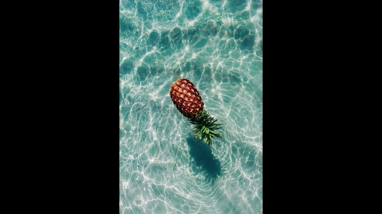 [FREE] Chill Pop x Tropical House Type Beat - 