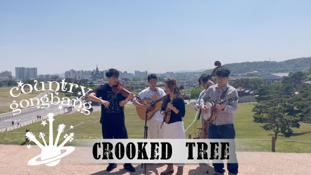 Crooked Tree - Country Gongbang (컨트리공방)