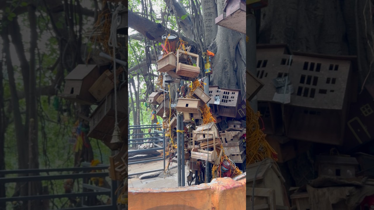 Chinganchira karuppasamy temple