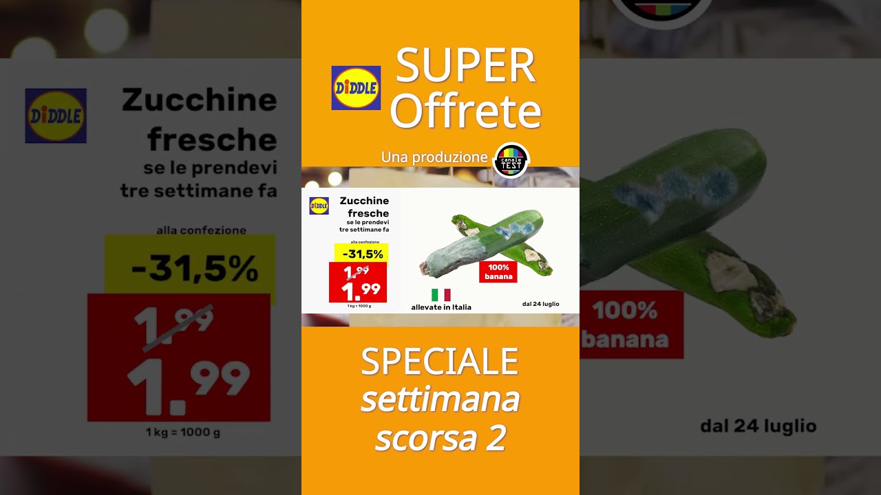 DIDDLE NUOVI VIDEO ✨ // IRONIA //  SPECIALE SETTIMANA SCORSA #lidl #diddle #didel #didl