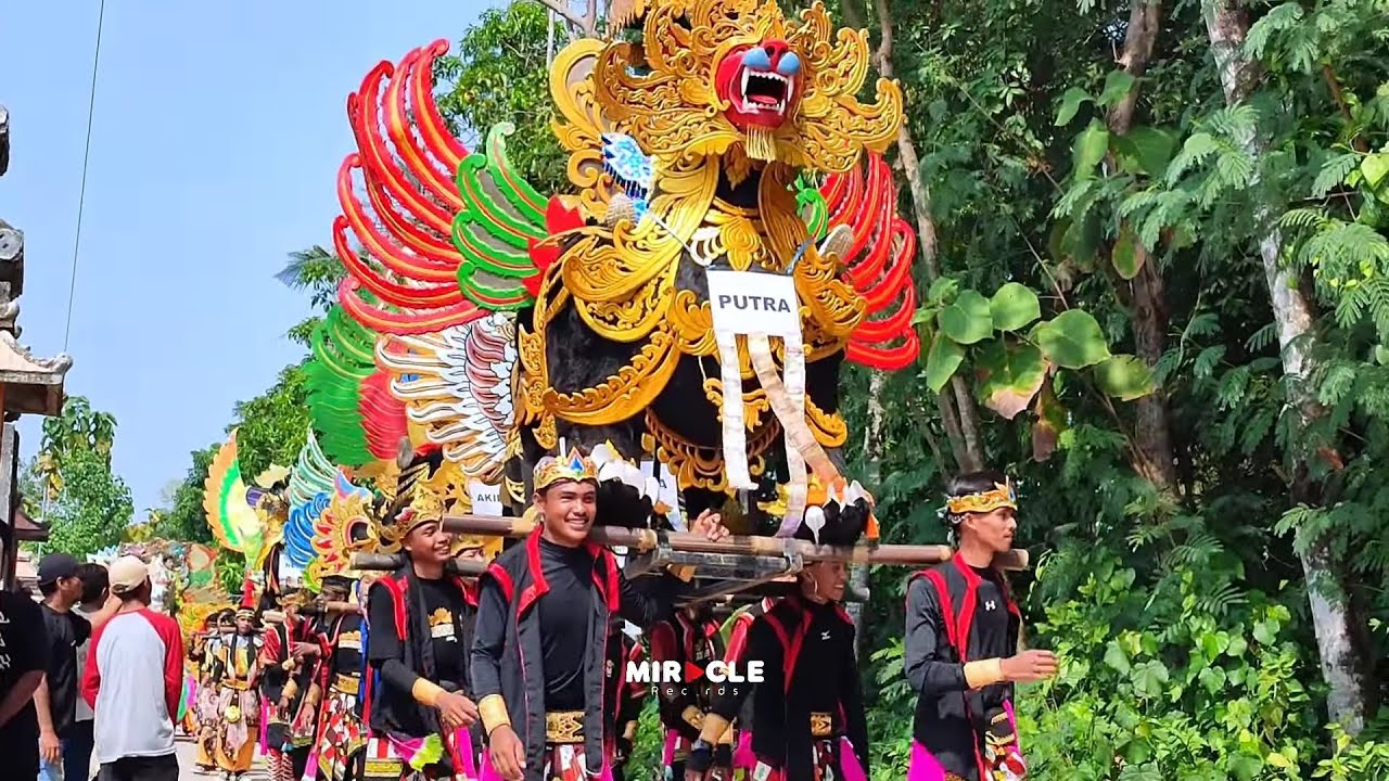 KAKANGE BLENGER ‼️ singa depok KRIS NADA