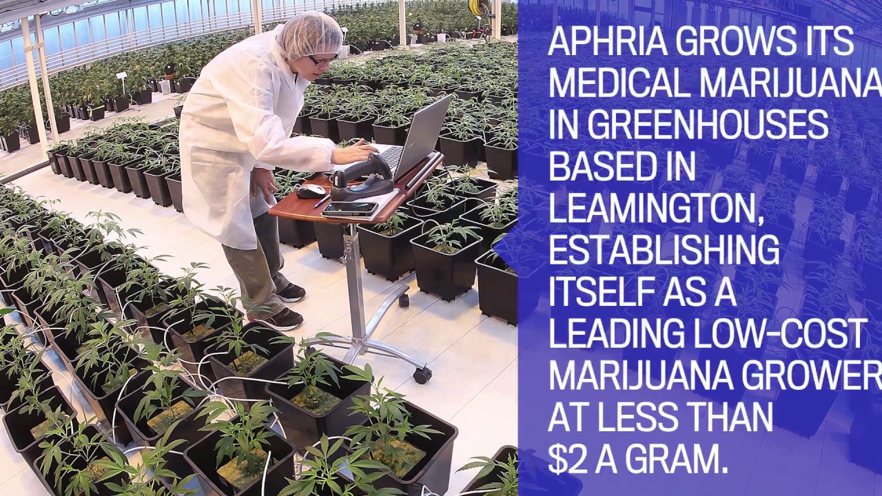 Aphria: Medical Marijuana Canada