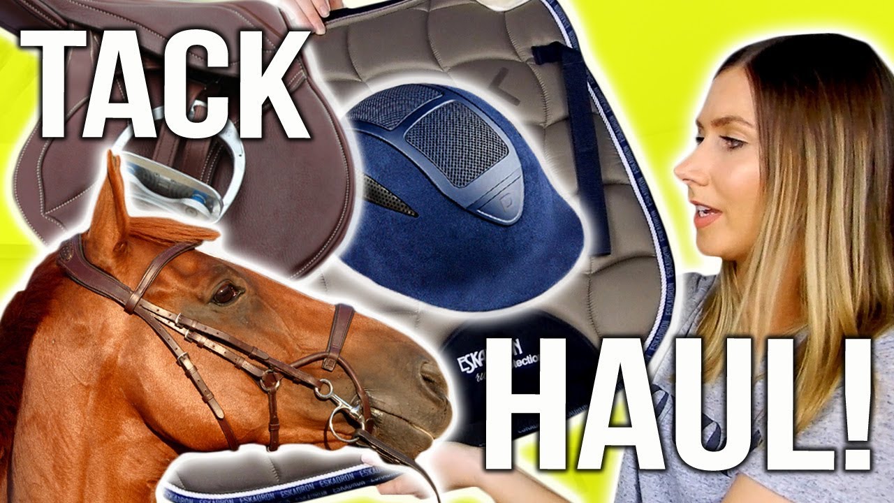TACK HAUL + TRY ON | New bridle, saddle pad & more
