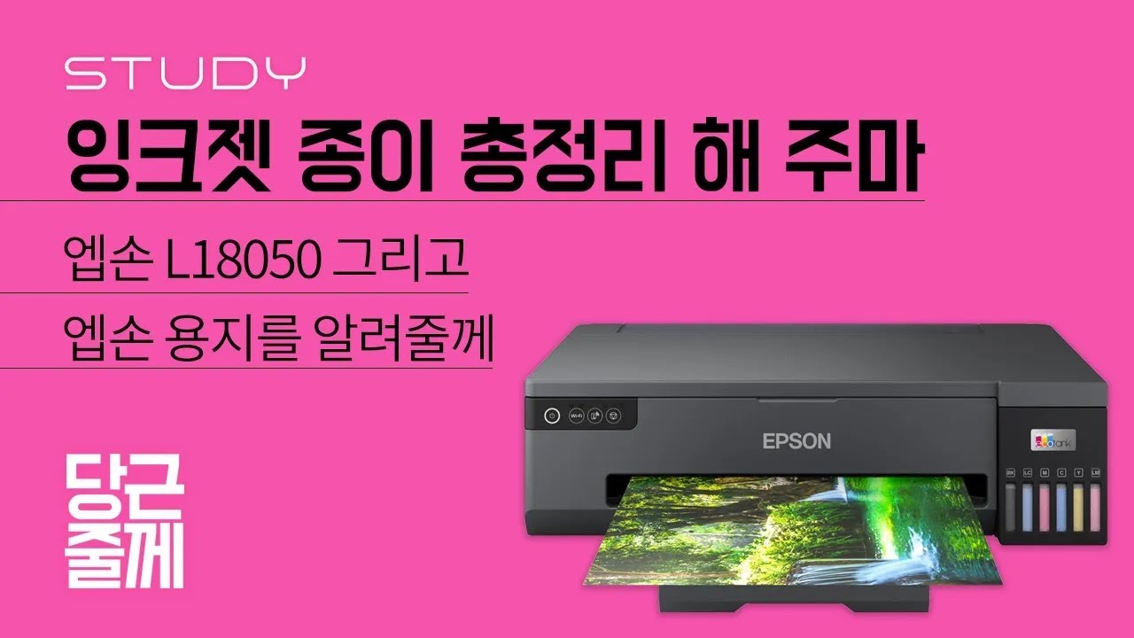잉크젯 종이 총정리 해 주마 [당근줄께] 엡손 L18050 그리고 엡손 용지를 알려줄께.