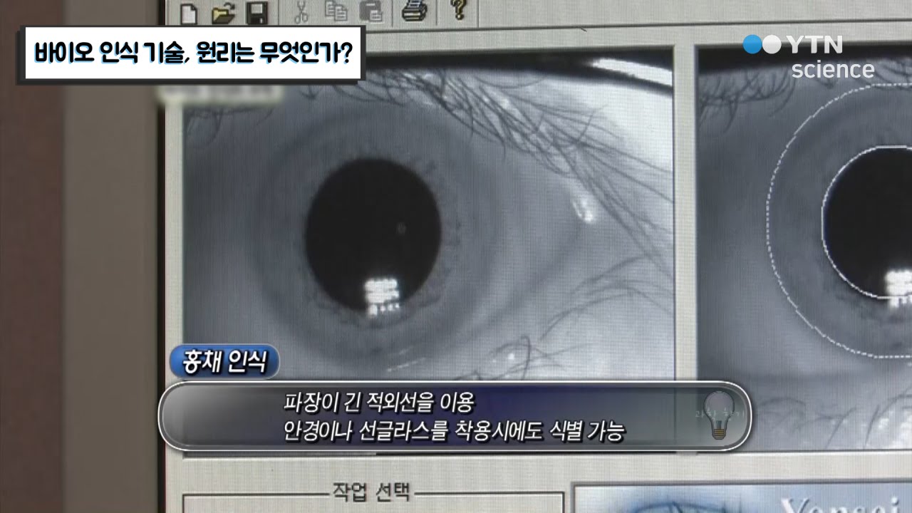 바이오 인식 기술, 원리는 무엇인가? / YTN 사이언스
