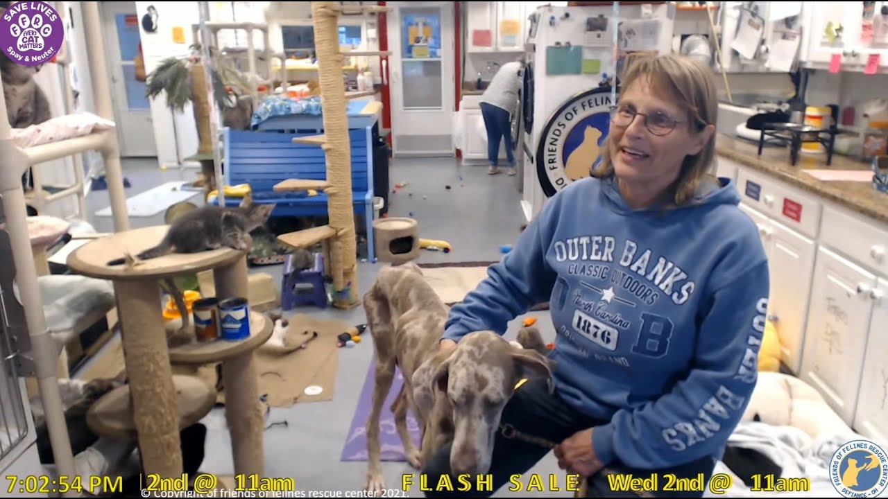 FFRC moment - Molly stops by for a visit - 2021.05.30