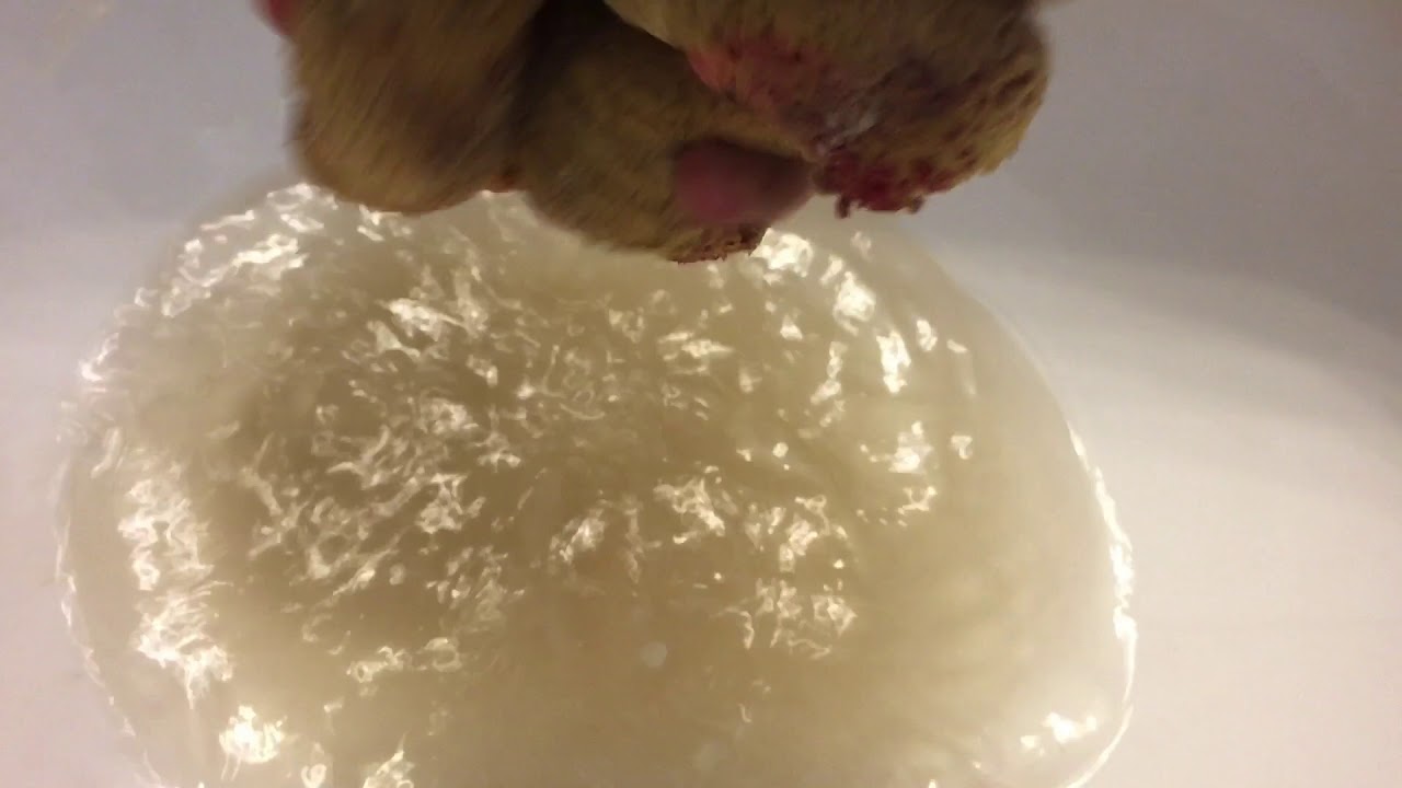 Toilet leaking through ceiling.