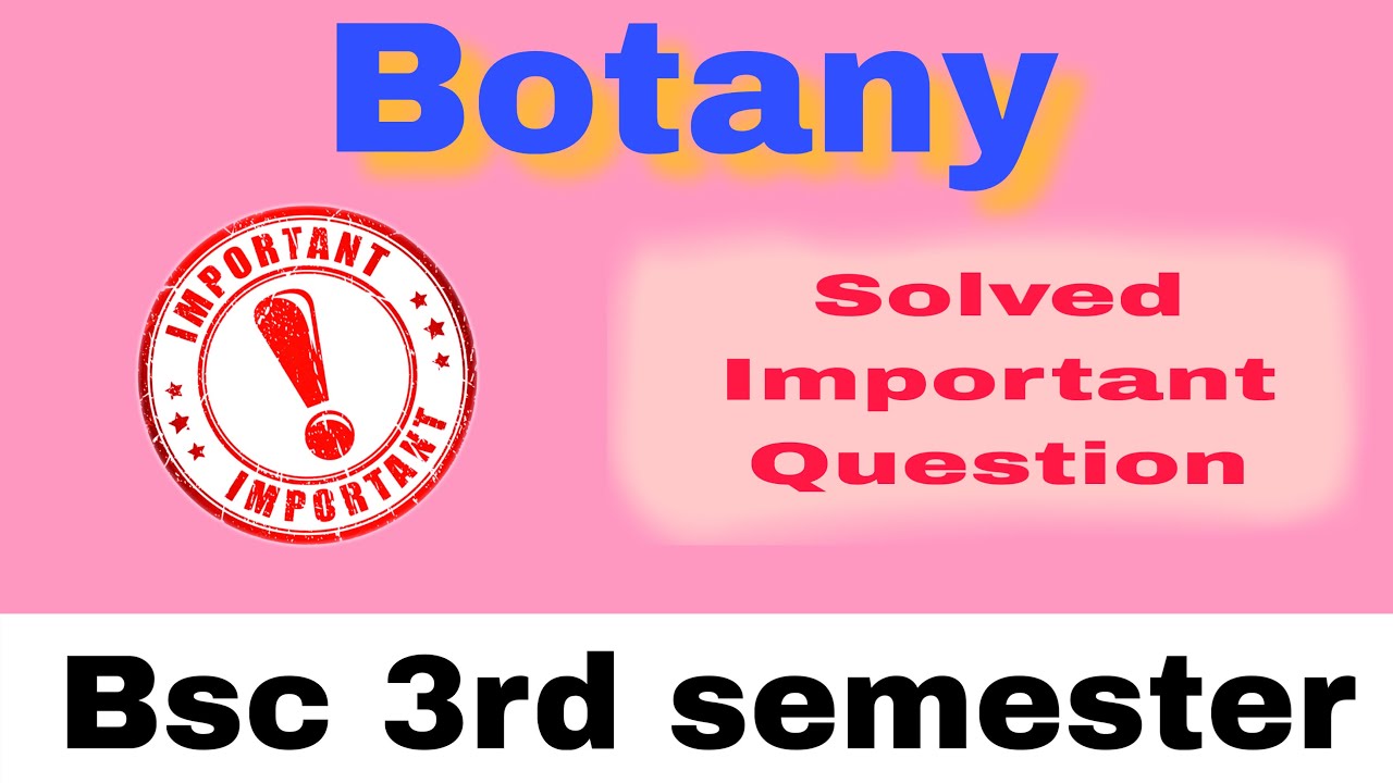 Bsc 3rd semester Botany Solved Important Questions 2025 #bsc #botany #ccsu #msu