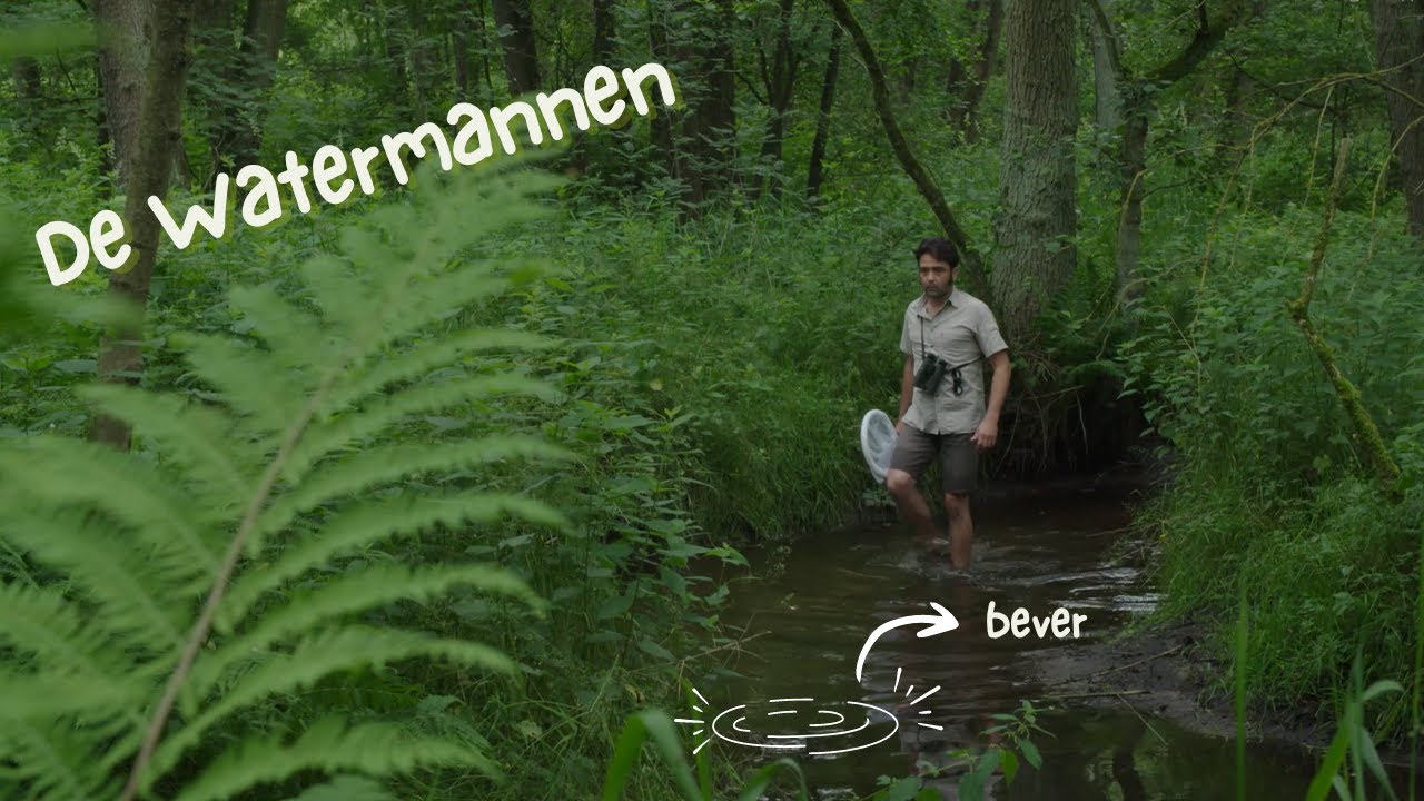 Watermannen - In het spoor van de bever