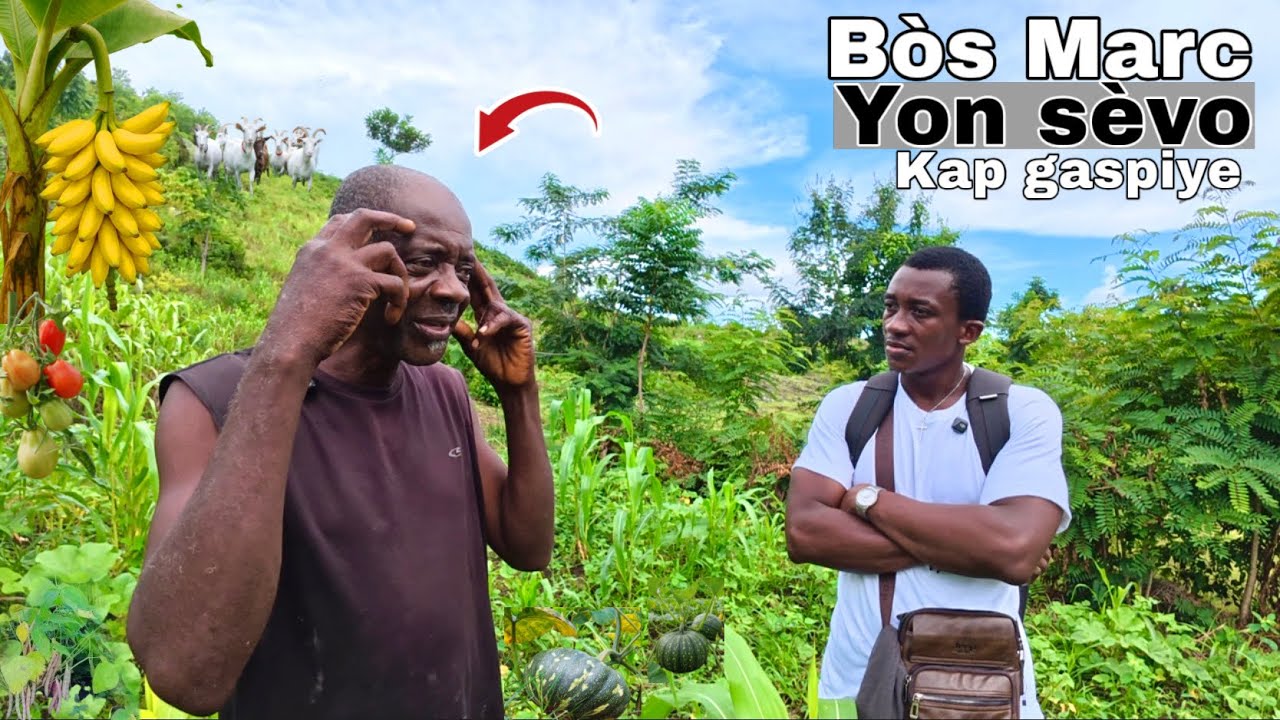 Bòs Marc yon sèvo kap gaspiye nan ferme le blanc 
