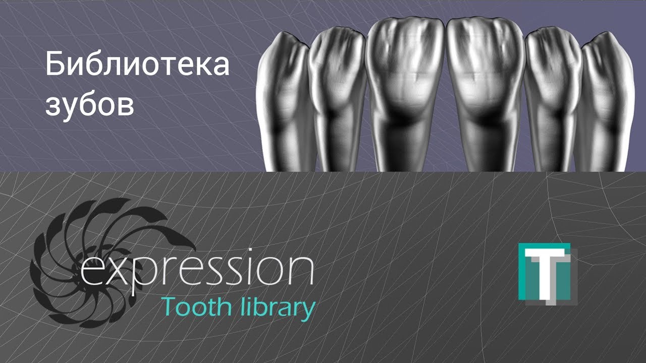 Expession Teeth library