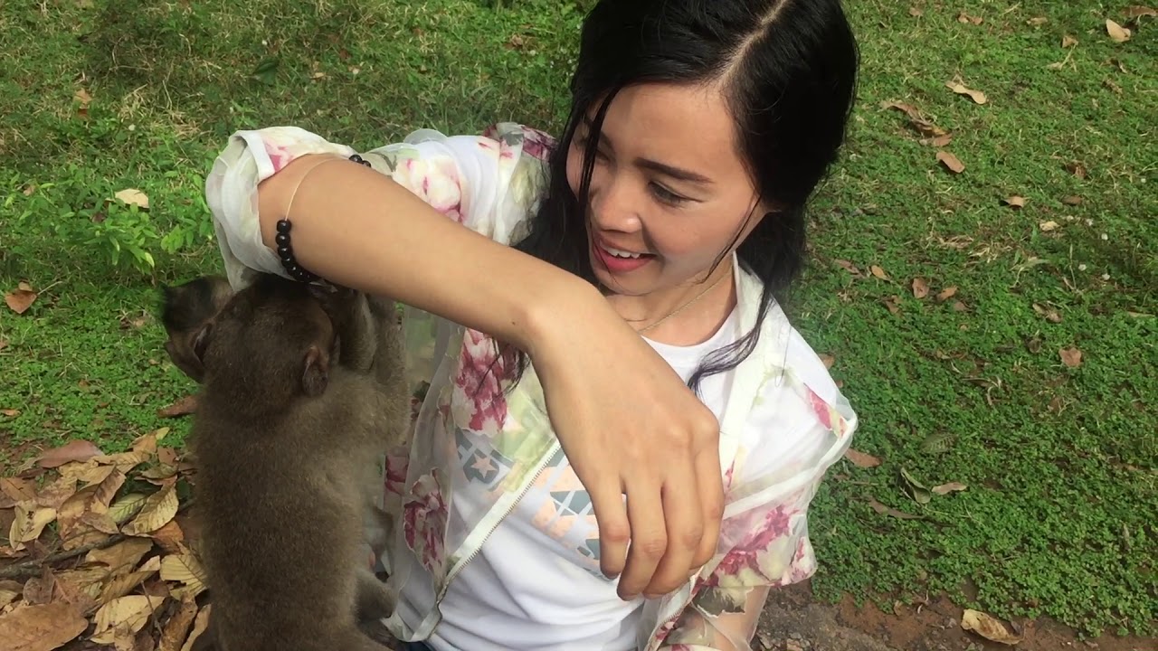 Little baby monkey got hit