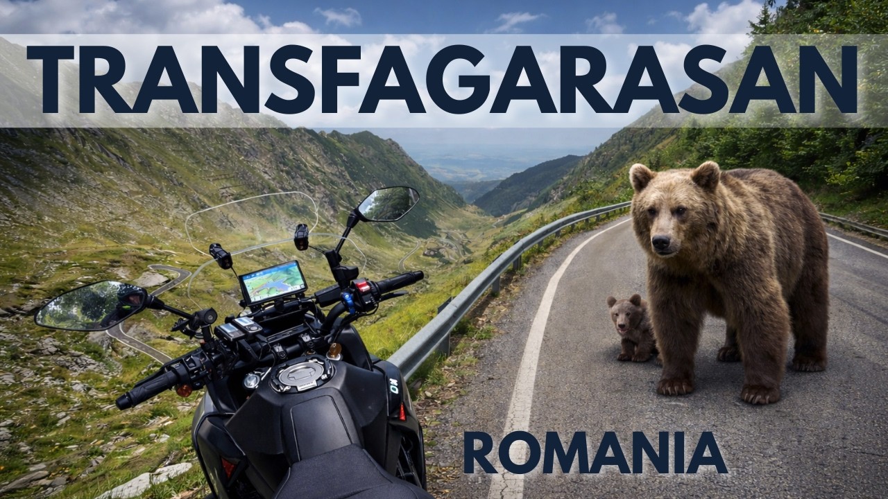 BEAR on the Road?! Transfagarasan - Romania's Best Drive | Yamaha Tracer 7 GT