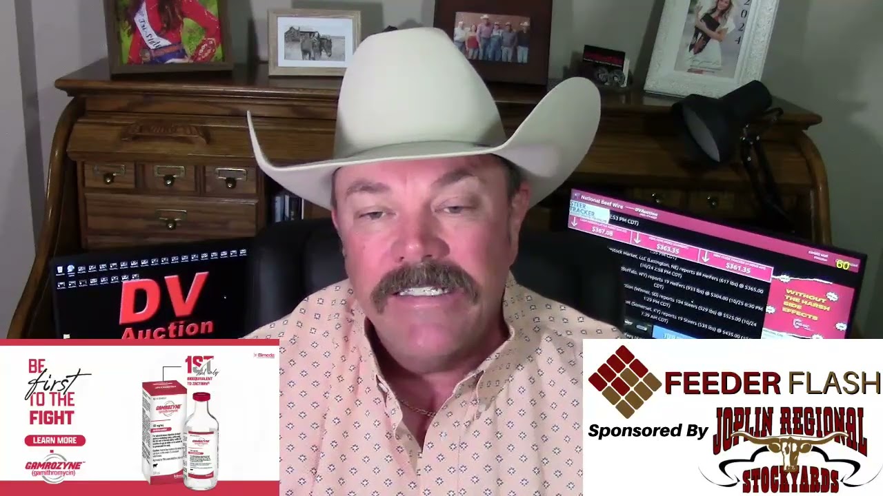 Feeder Flash 10/27: Держитесь за своих Wrangler