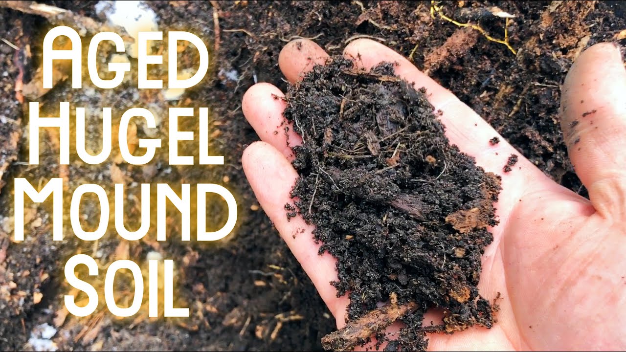 Hugelmound - Digging into 10 year old bed!
