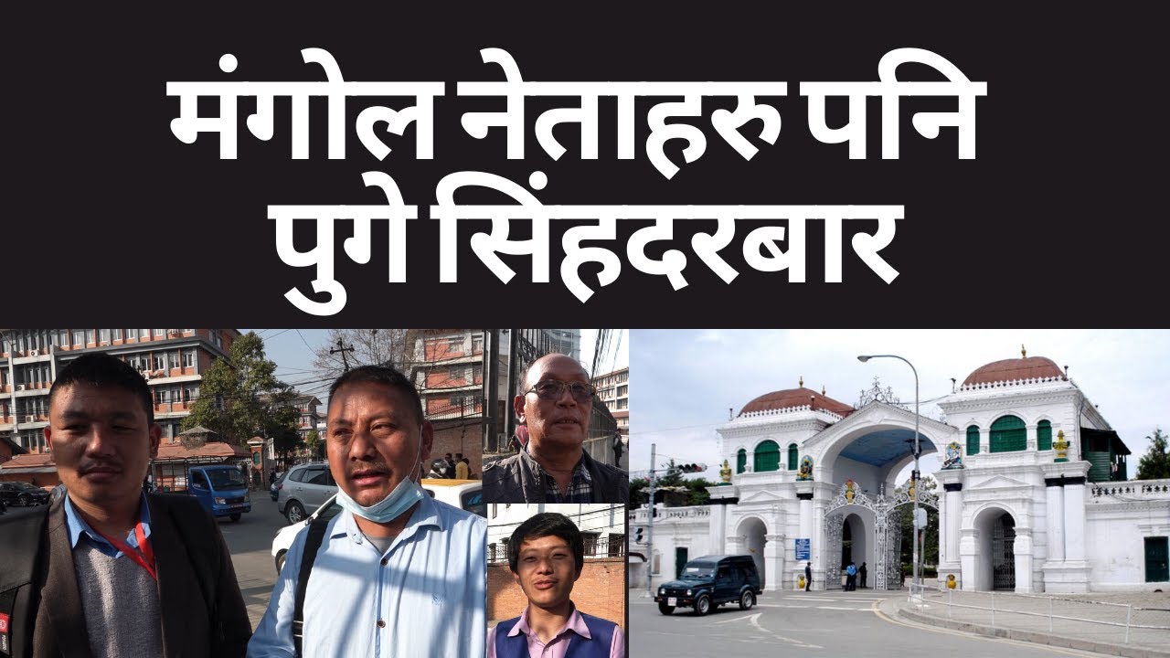 मंगोल नेताहरु पनि पुगे सिं&yen;हदरबार || MNO-DGG || MongolHub || Mulbasi || Mongol ||