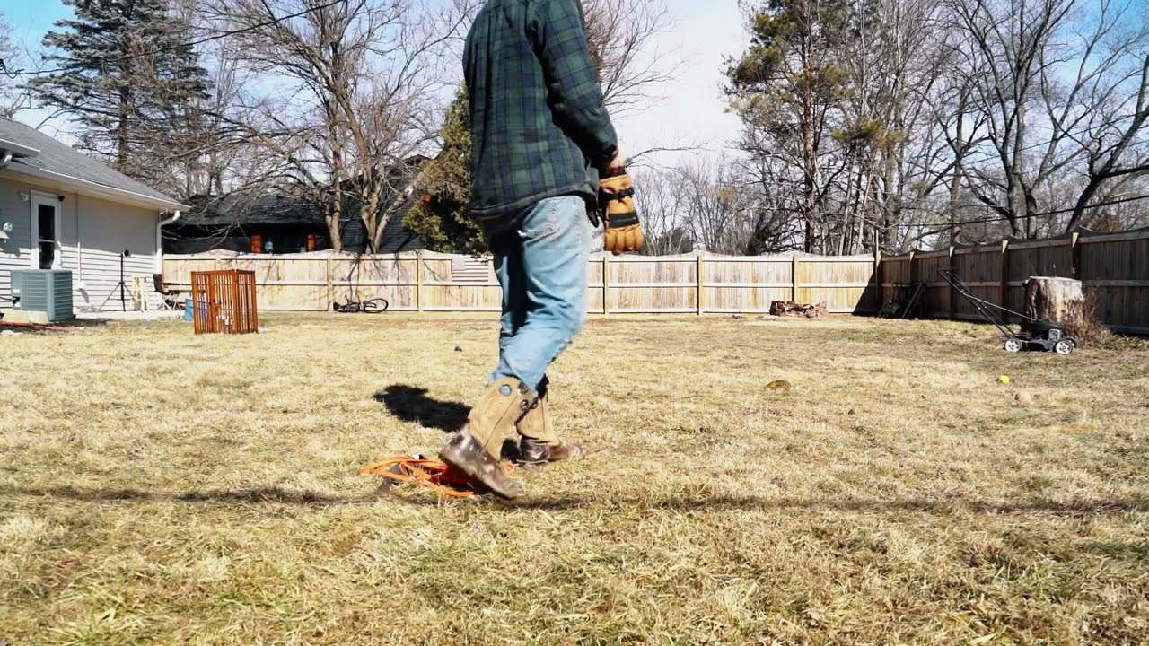How To Play With Your Dogs