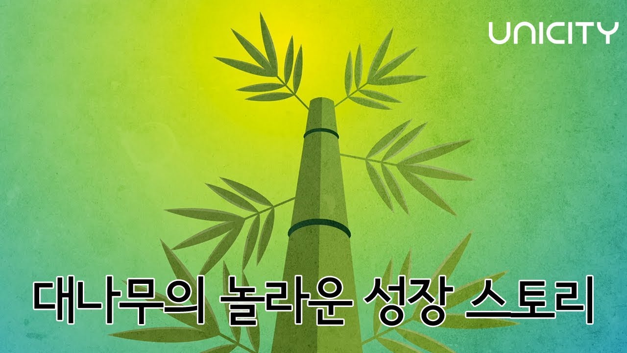 [성장 스토리] 대나무의 놀라운 성장 과정