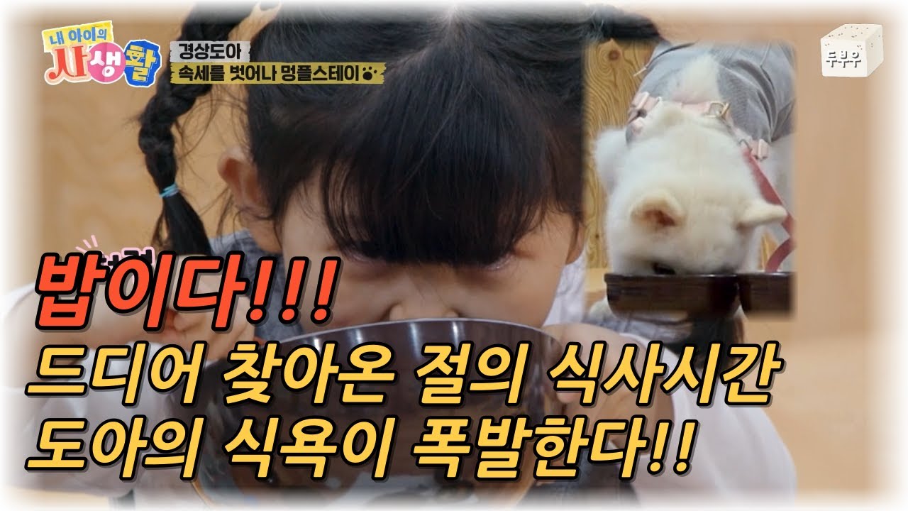 내 아이의 사생활 제 29화 (2편) : 식사시간이다!!! 드디어 찾아온 식사시간, 도아의 식욕이 폭발한다!! #내아이의사생활 #02hby