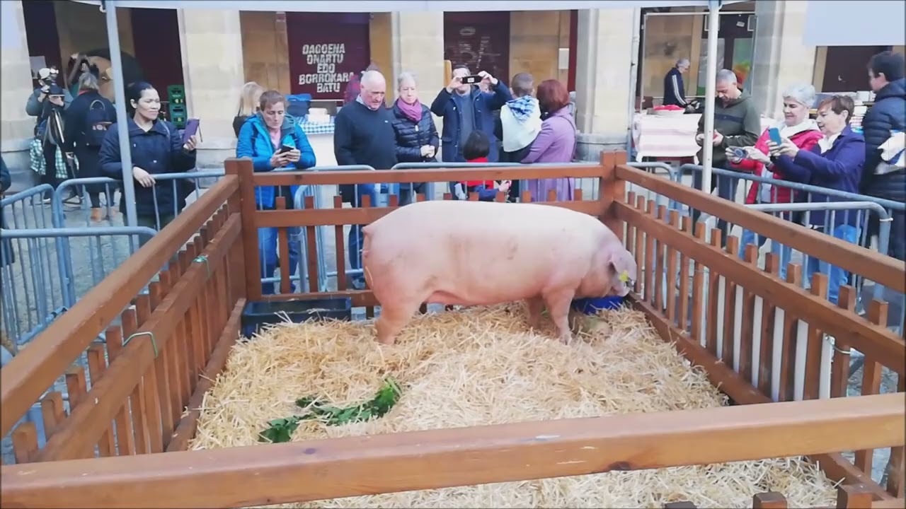 Feria de Santo Tomás - San Sebastián