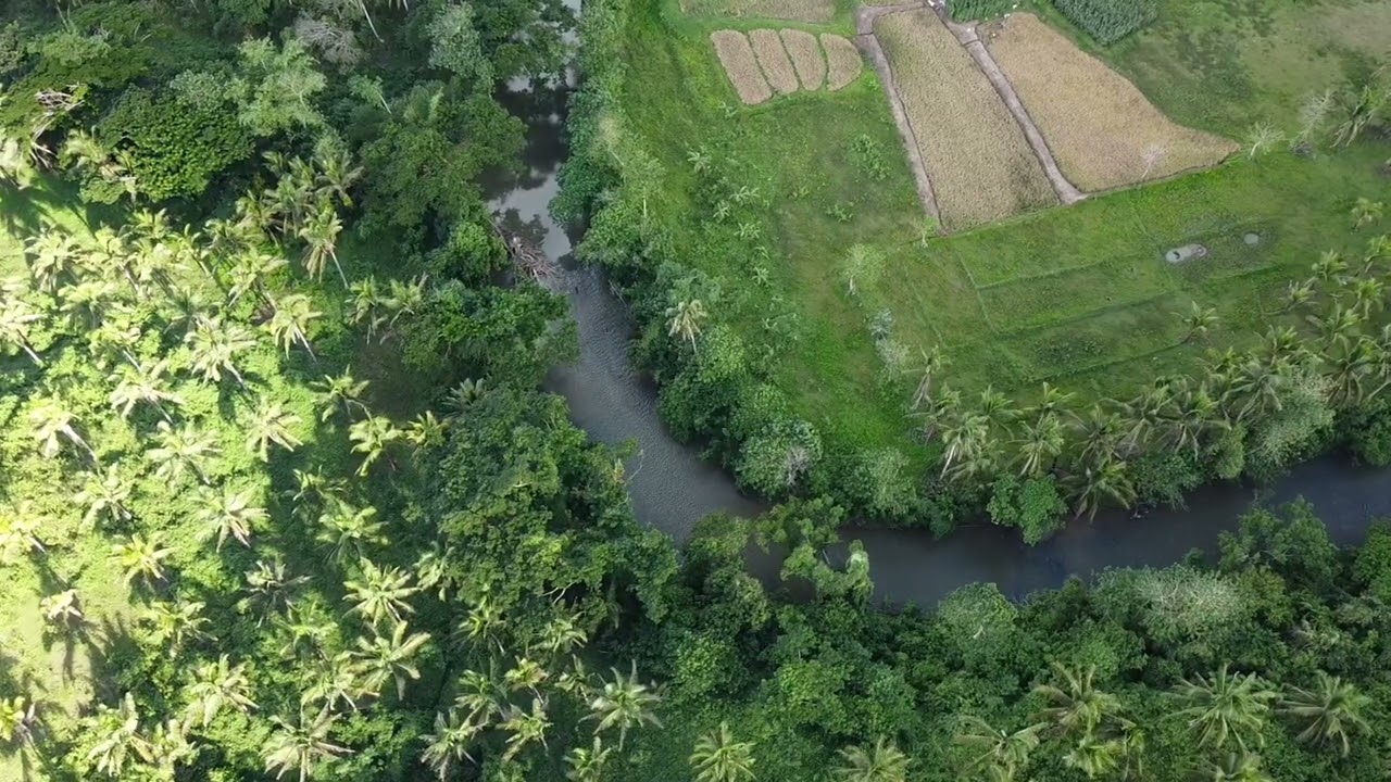 FOR SALE FARM LAND ALONG THE LOBOC RIVER | 198,396 SQM LOT AREA | CARMEN BOHOL | PRICE 250/SQM