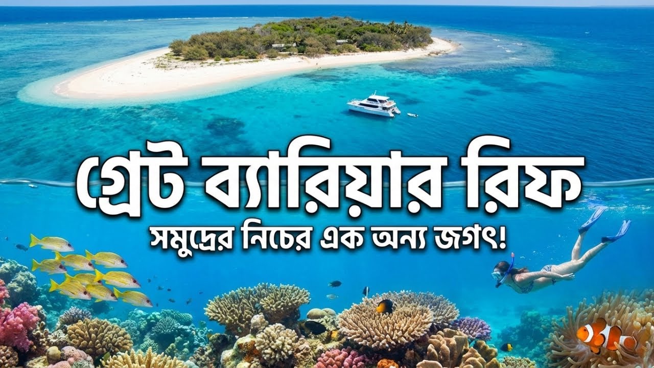 Exploring the Great Barrier Reef 🇦🇺 | Lady Musgrave Island Catamaran Cruise | Bengali Travel Vlog