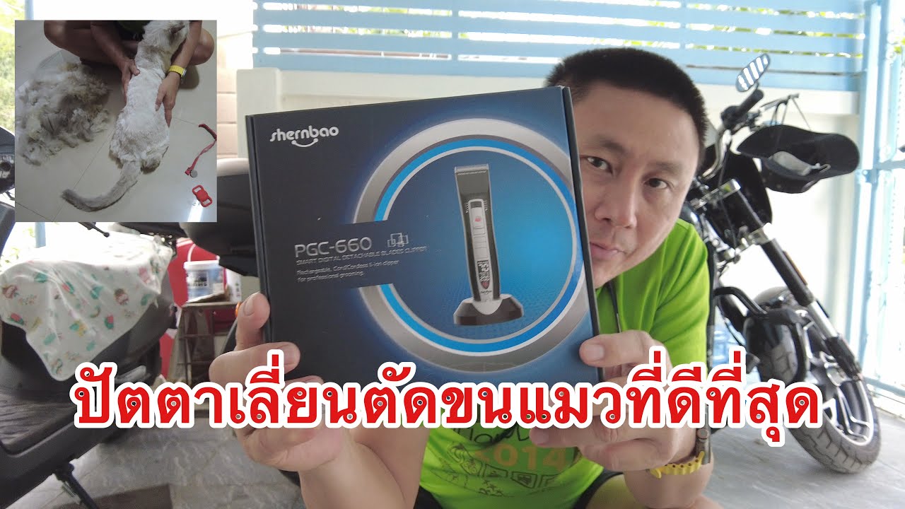 ปัตตาเลี่ยนตัดขนแมวที่ดีที่สุด
